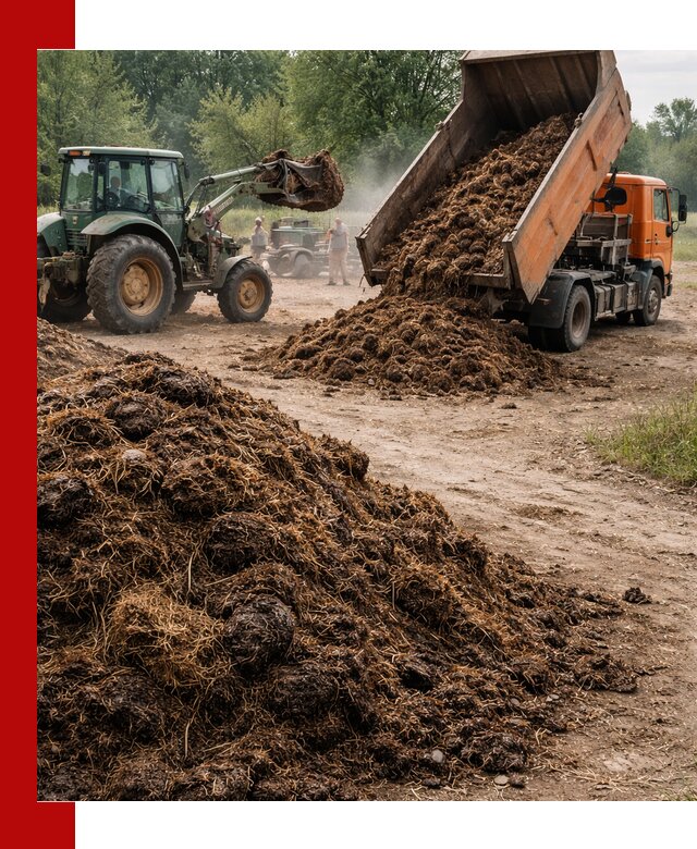 Доставка навоза самосвалами в Тайшете для сельхозпотребностей